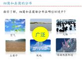 人教版生物八年级上册--5.4.1细菌和真菌的分布    课件