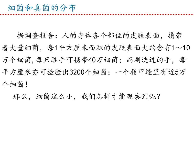 人教版生物八年级上册--5.4.1细菌和真菌的分布    课件05