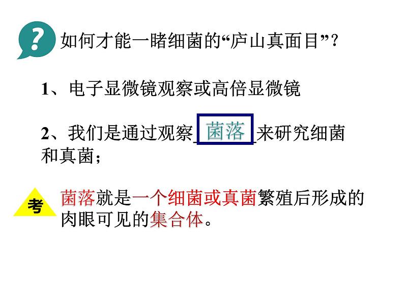 人教版生物八年级上册--5.4.1细菌和真菌的分布    课件06