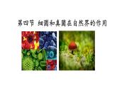 人教版生物八年级上册--5.4.4细菌和真菌在自然界中的作用    课件