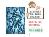 人教版生物八年级上册--5.4.4细菌和真菌在自然界中的作用    课件