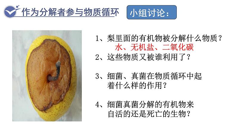 人教版生物八年级上册--5.4.4细菌和真菌在自然界中的作用    课件第5页