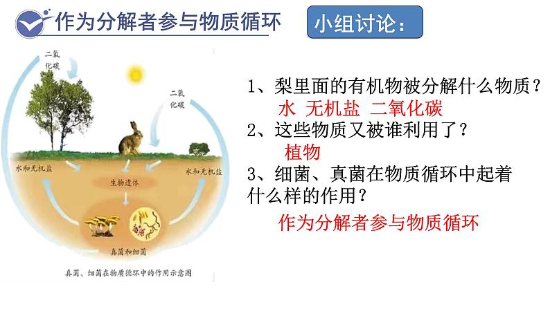 人教版生物八年级上册--5.4.4细菌和真菌在自然界中的作用    课件第6页