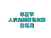 人教版生物八年级上册--5.4.5   人类对细菌和真菌的利用  课件