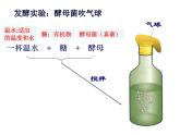 人教版生物八年级上册--5.4.5   人类对细菌和真菌的利用  课件