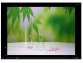 人教版生物八年级上册--5.4.5   人类对细菌和真菌的利用  课件