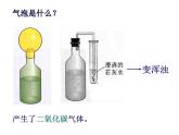 人教版生物八年级上册--5.4.5   人类对细菌和真菌的利用  课件