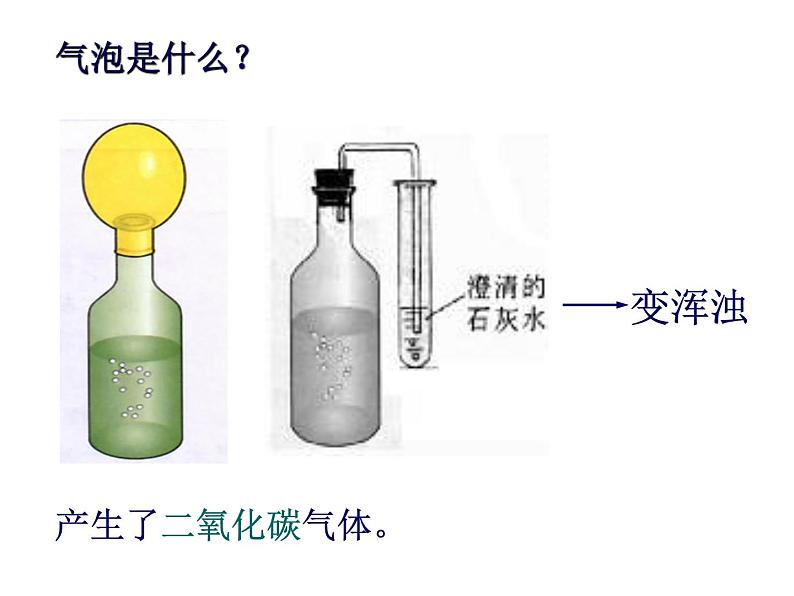 人教版生物八年级上册--5.4.5   人类对细菌和真菌的利用  课件05