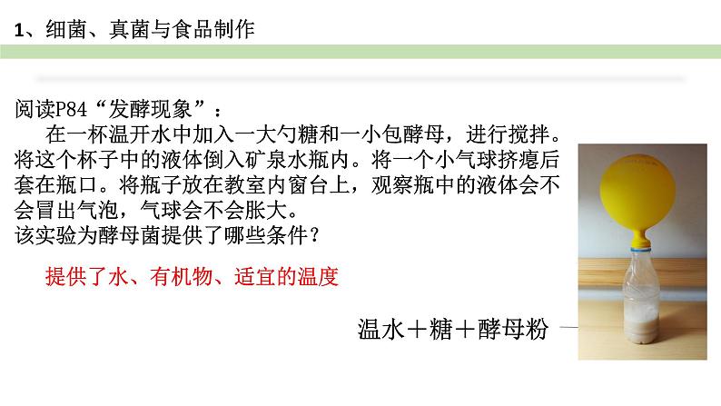 人教版生物八年级上册--5.4.5人类对细菌和真菌的利用    课件06