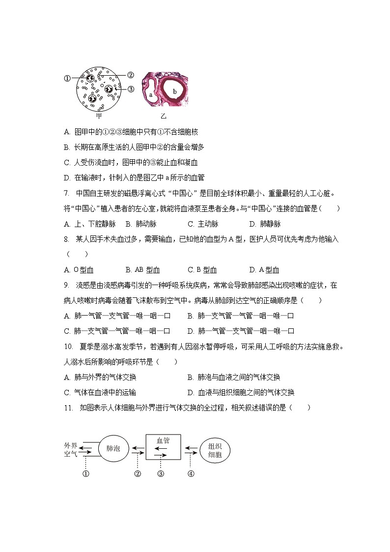 2022-2023学年四川省成都市成华区七年级（下）期末生物试卷（含解析）02