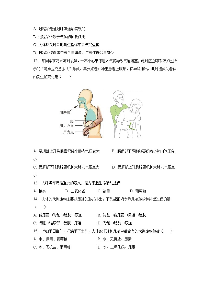 2022-2023学年四川省成都市成华区七年级（下）期末生物试卷（含解析）03