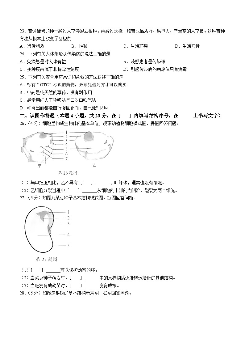 2023年黑龙江省牡丹江市中考生物真题（含答案）03