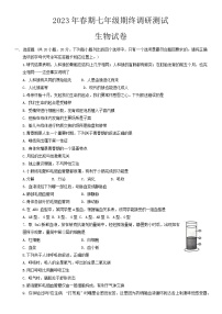 河南省南阳市镇平县2022-2023学年七年级下学期6月期末考试生物试卷（含答案）