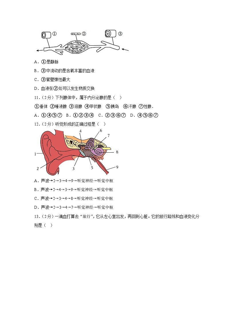 山东省济南市济阳区2022-2023学年七年级下学期期末生物试卷（含答案）03