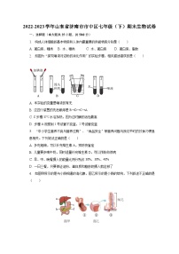 山东省济南市市中区2022-2023学年七年级下学期期末生物试卷（含答案）