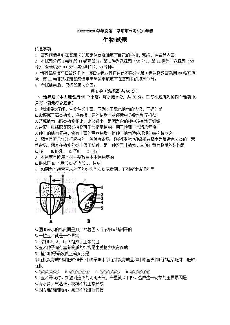 山东省济南市莱芜区（五四制）2022-2023学年六年级下学期期末考试生物试题（含答案）01