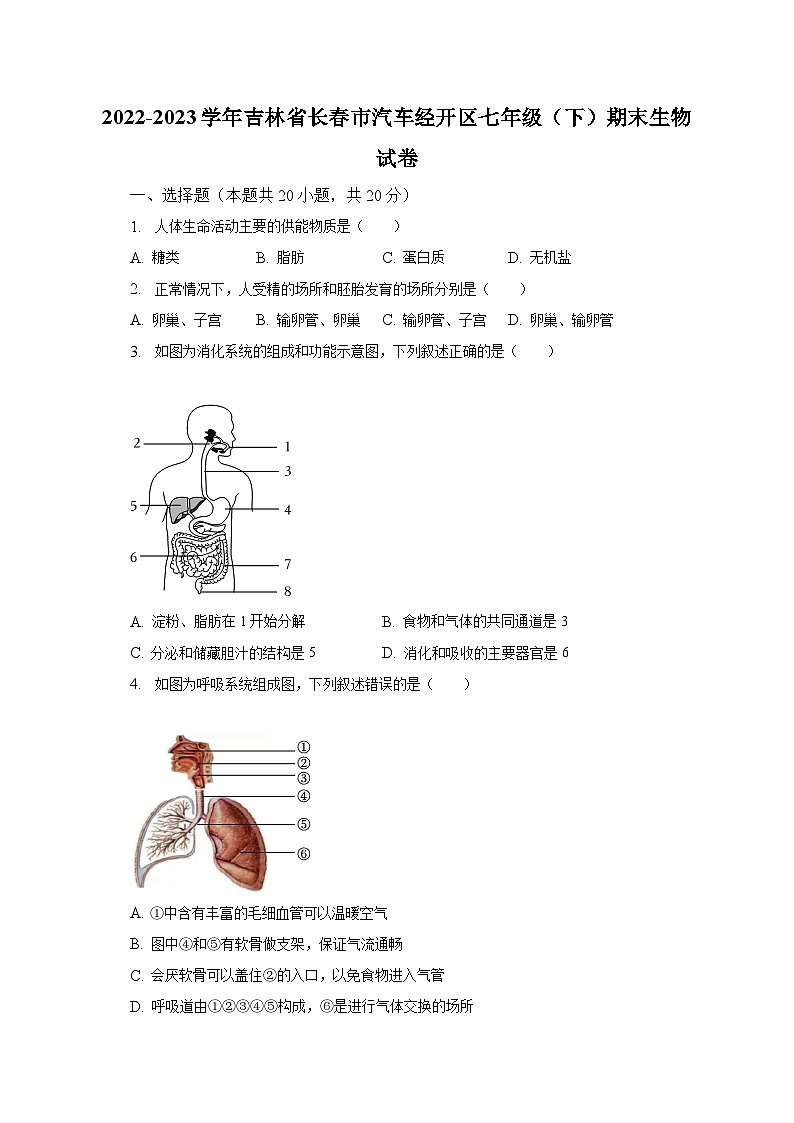 2022-2023学年吉林省长春市汽车经开区七年级（下）期末生物试卷（含解析）01