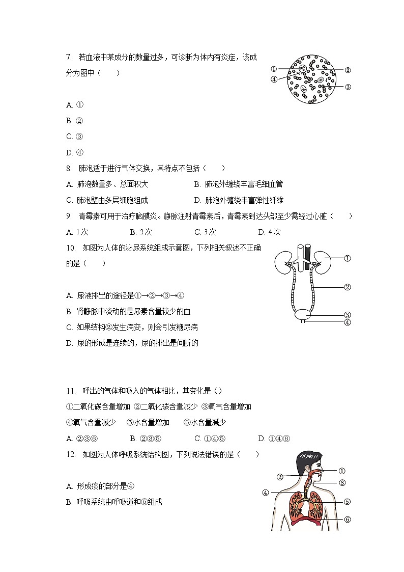 2022-2023学年福建省泉州市南安市七年级（下）期末生物试卷（含解析）第2页