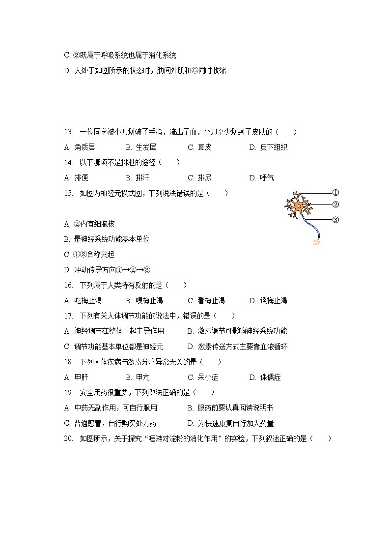 2022-2023学年福建省泉州市南安市七年级（下）期末生物试卷（含解析）第3页
