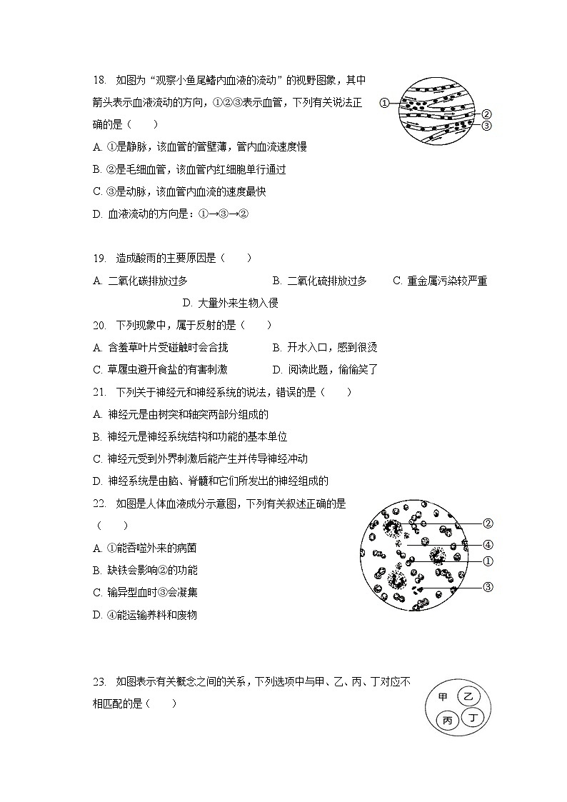 2022-2023学年福建省泉州市泉港区七年级（下）期末生物试卷（含解析）03
