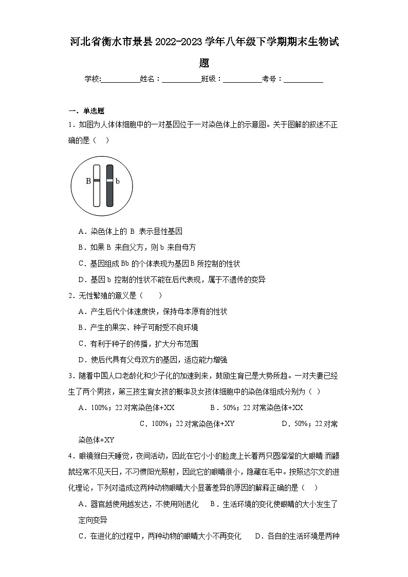 河北省衡水市景县2022-2023学年八年级下学期期末生物试题（含答案）第1页