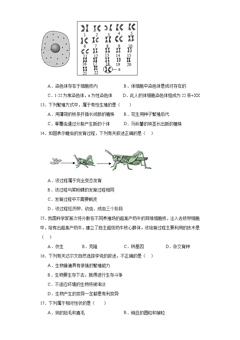 河北省衡水市景县2022-2023学年八年级下学期期末生物试题（含答案）第3页