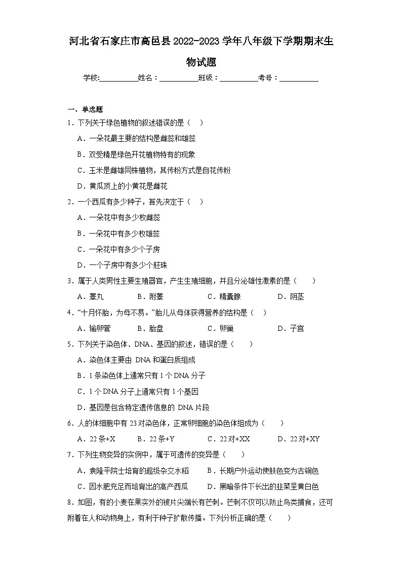 河北省石家庄市高邑县2022-2023学年八年级下学期期末生物试题（含答案）01