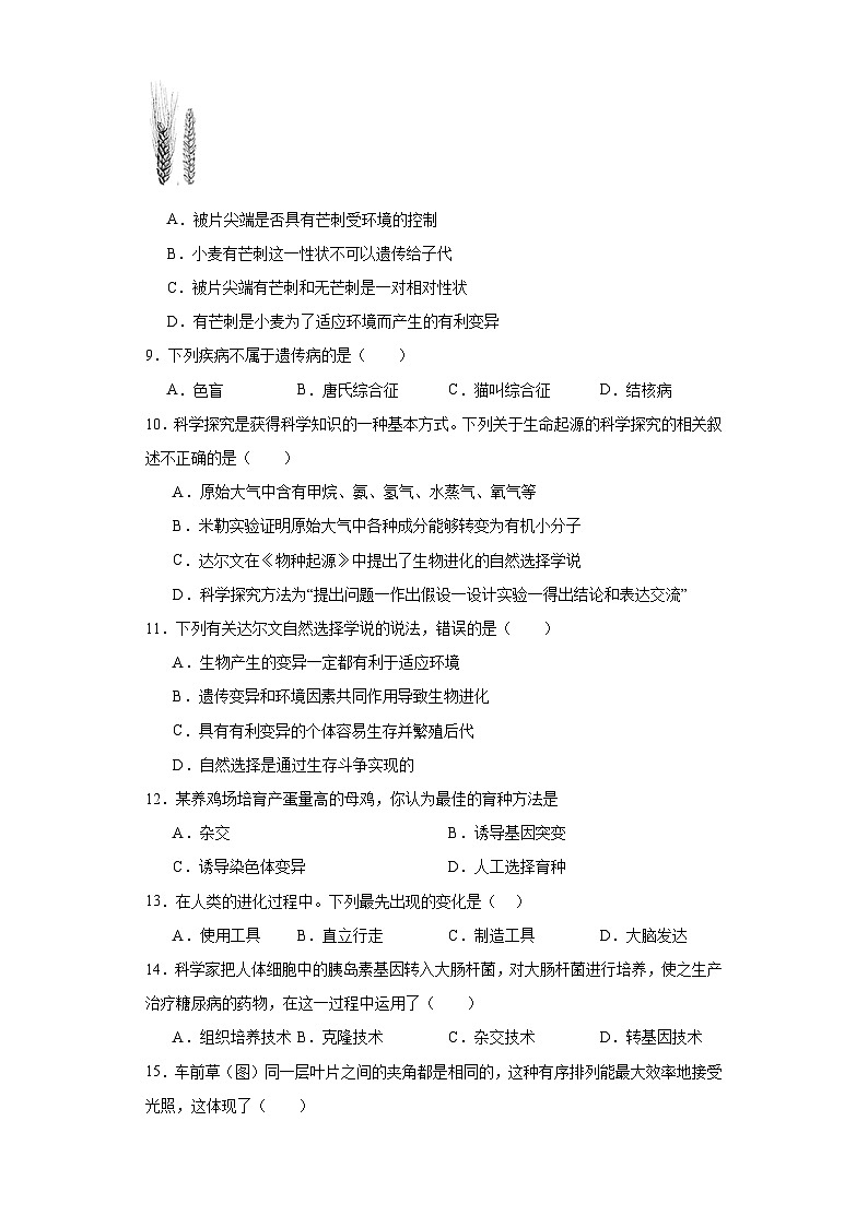 河北省石家庄市高邑县2022-2023学年八年级下学期期末生物试题（含答案）02