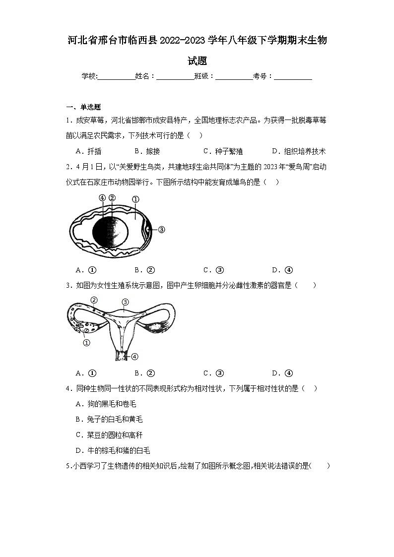 河北省邢台市临西县2022-2023学年八年级下学期期末生物试题（含答案）第1页