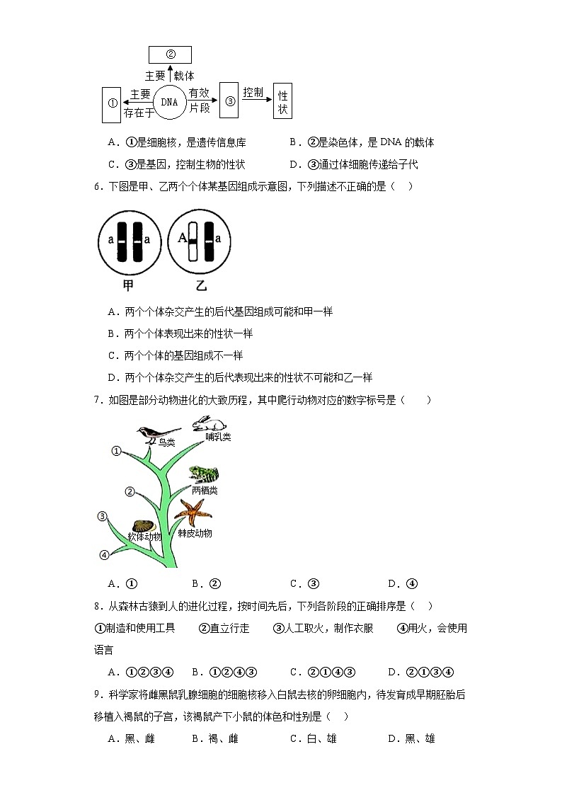 河北省邢台市临西县2022-2023学年八年级下学期期末生物试题（含答案）第2页