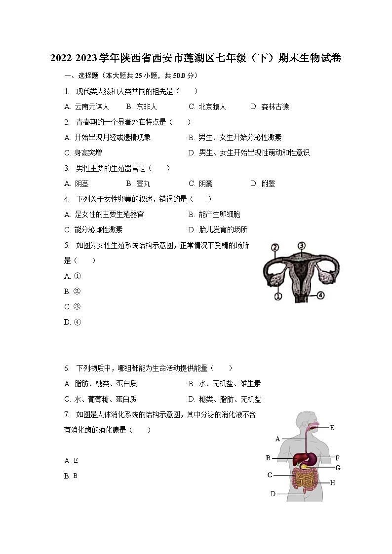 2022-2023学年陕西省西安市莲湖区七年级（下）期末生物试卷（含解析）第1页