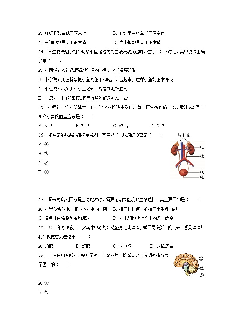 2022-2023学年陕西省西安市莲湖区七年级（下）期末生物试卷（含解析）第3页