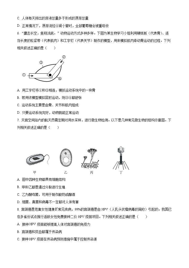 2023年湖北省黄冈市孝感市咸宁市生物中考真题试题02