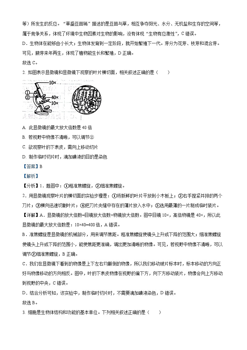2023年山东省滨州市中考生物真题（答案版）第2页