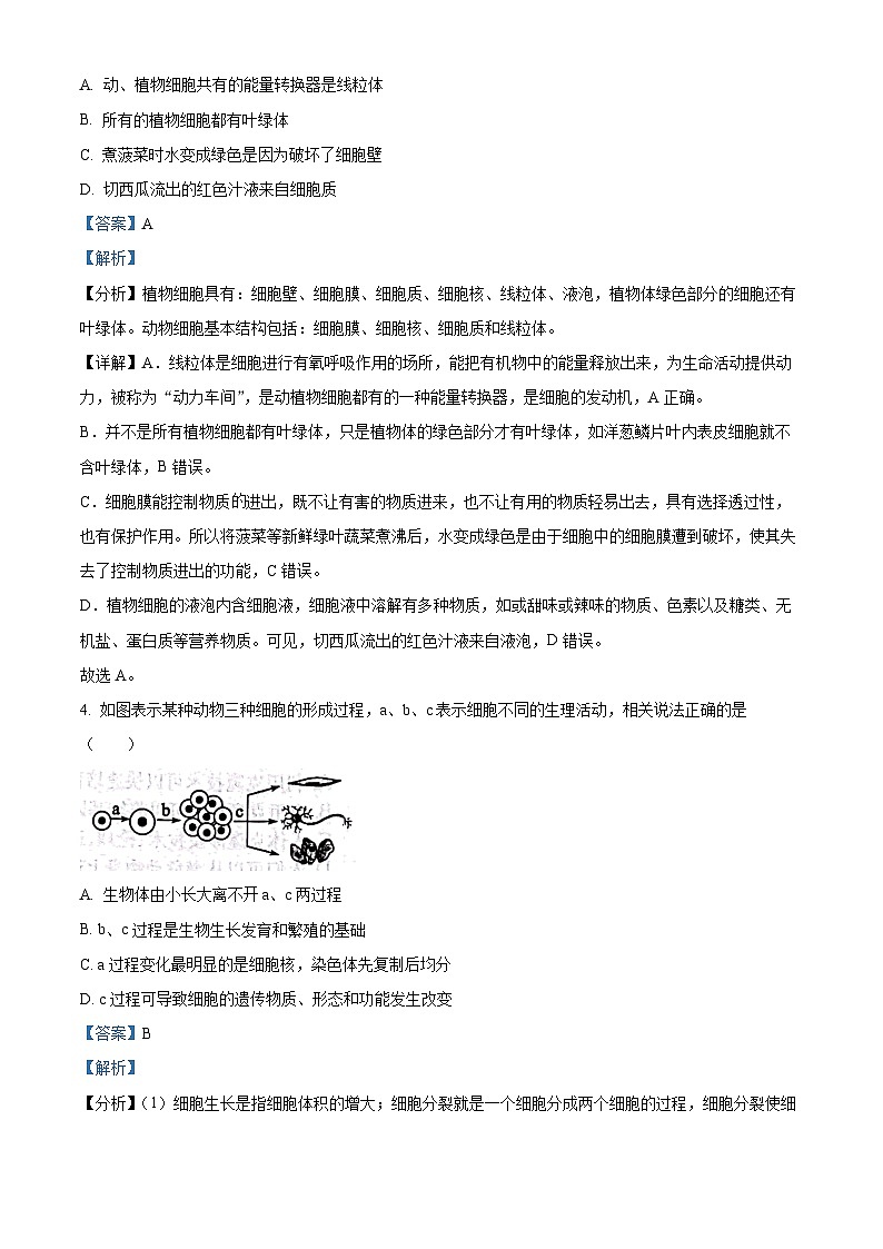 2023年山东省滨州市中考生物真题（答案版）第3页