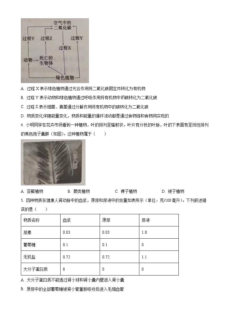 2023年山东省泰安市中考生物真题02
