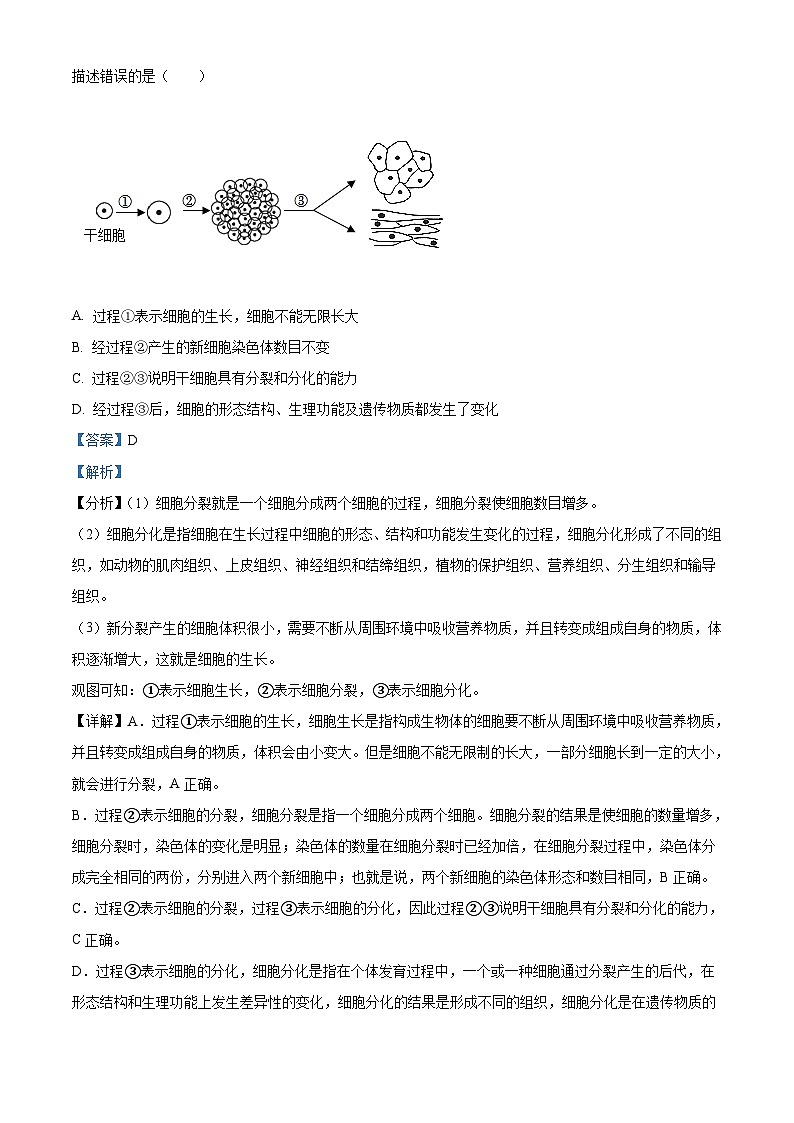 2023年山东省临沂市中考生物真题（含解析）03