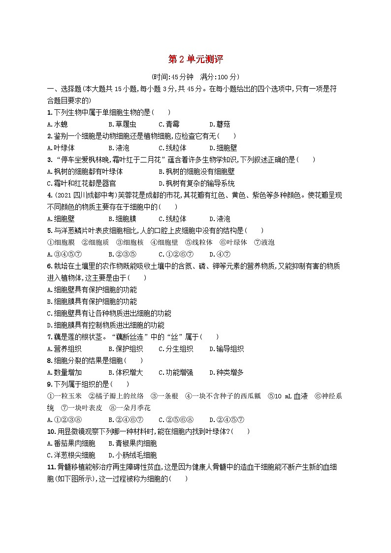 2022七年级生物上册第2单元生物体的结构层次测评新版苏教版01