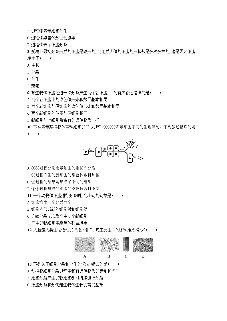 2022七年级生物上册第2单元生物体的结构层次第3章细胞是生命活动的基本单位第三节细胞分裂与分化课后习题新版苏教版02