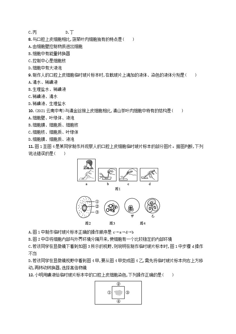 2022七年级生物上册第2单元生物体的结构层次第3章细胞是生命活动的基本单位第二节人和动物细胞的结构与功能课后习题新版苏教版第2页