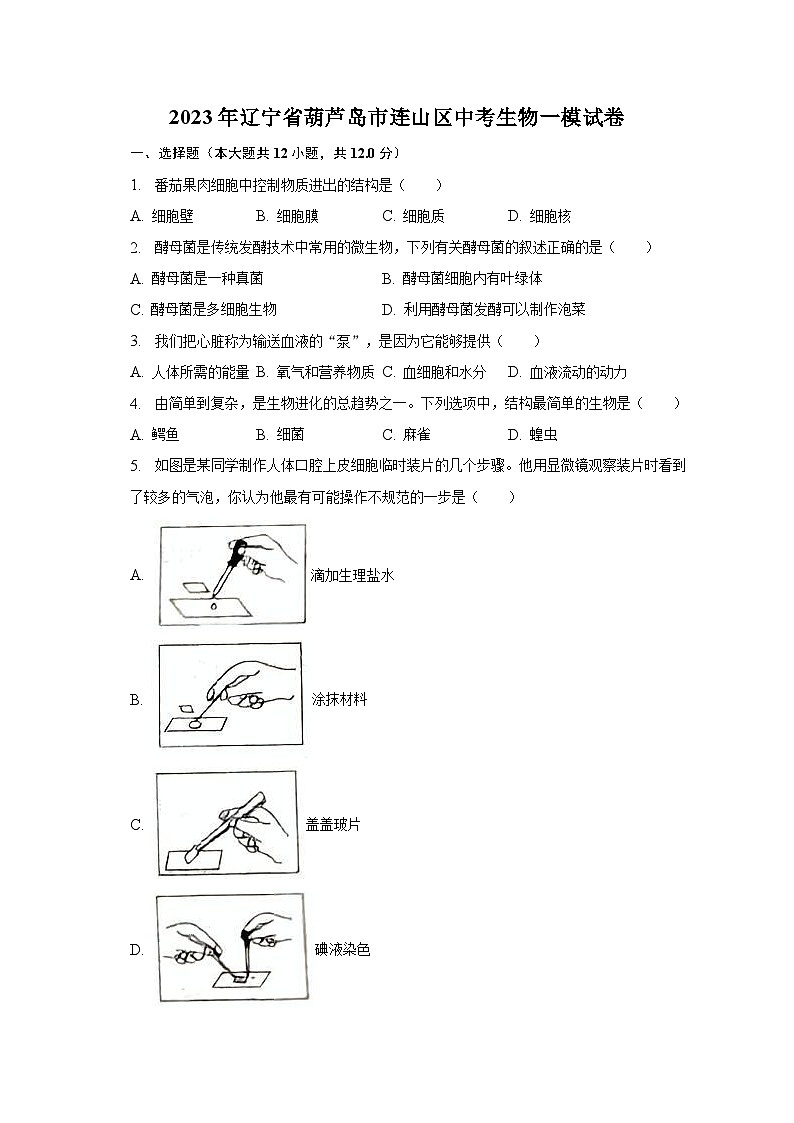 2023年辽宁省葫芦岛市连山区中考生物一模试卷（含解析）01