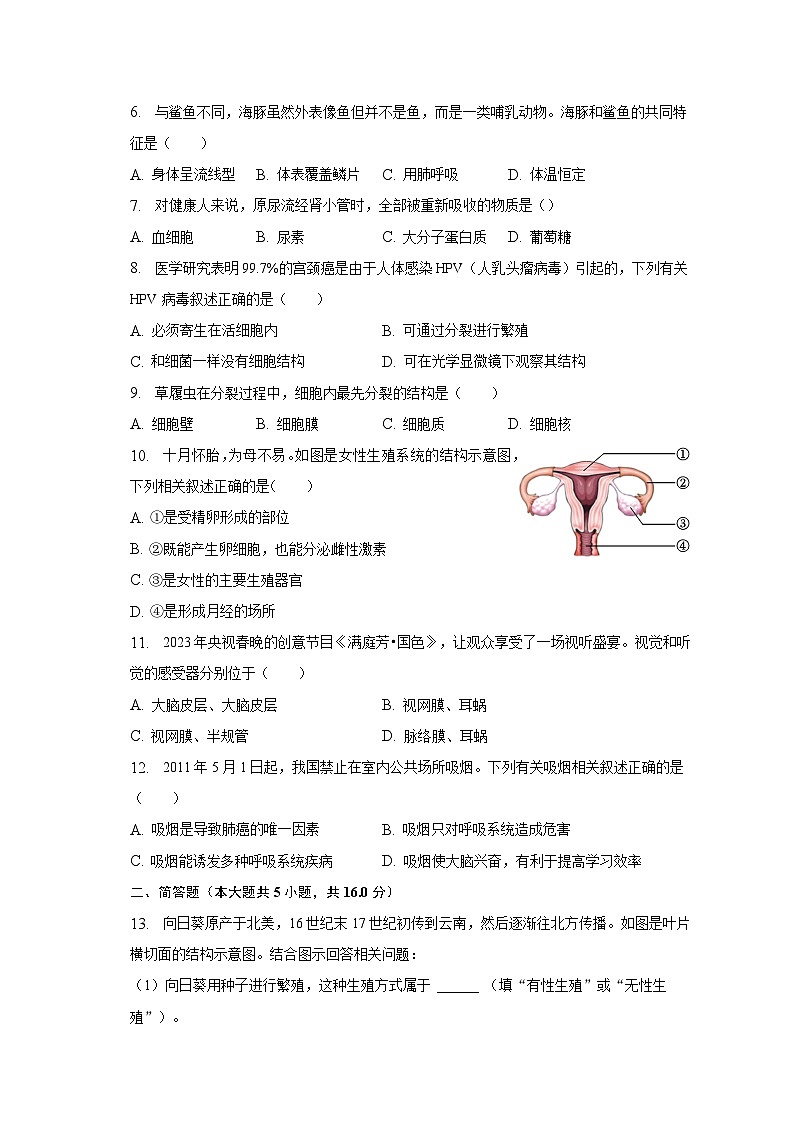2023年辽宁省葫芦岛市连山区中考生物一模试卷（含解析）02