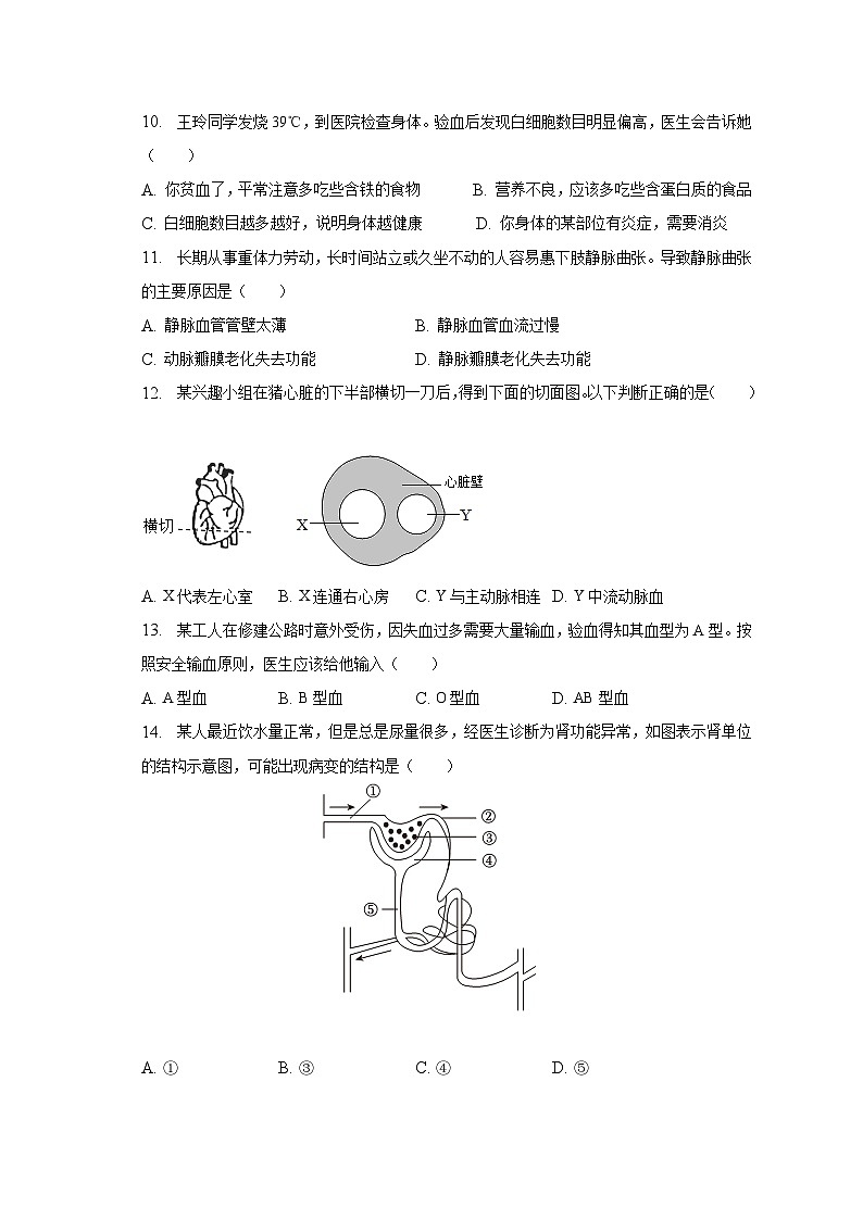 2022-2023学年广西玉林市七年级（下）期末生物试卷（含解析）03