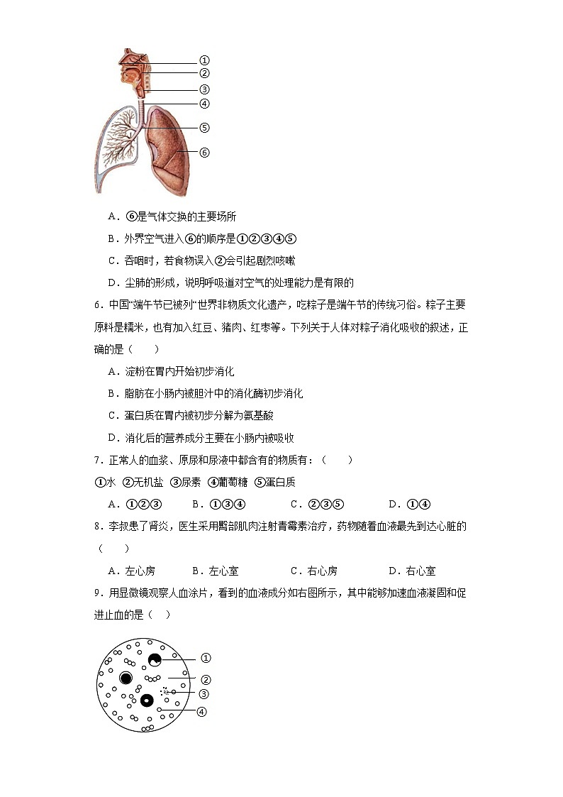 湖南省株洲市茶陵县2022-2023学年七年级下学期期末生物试题（含答案）02