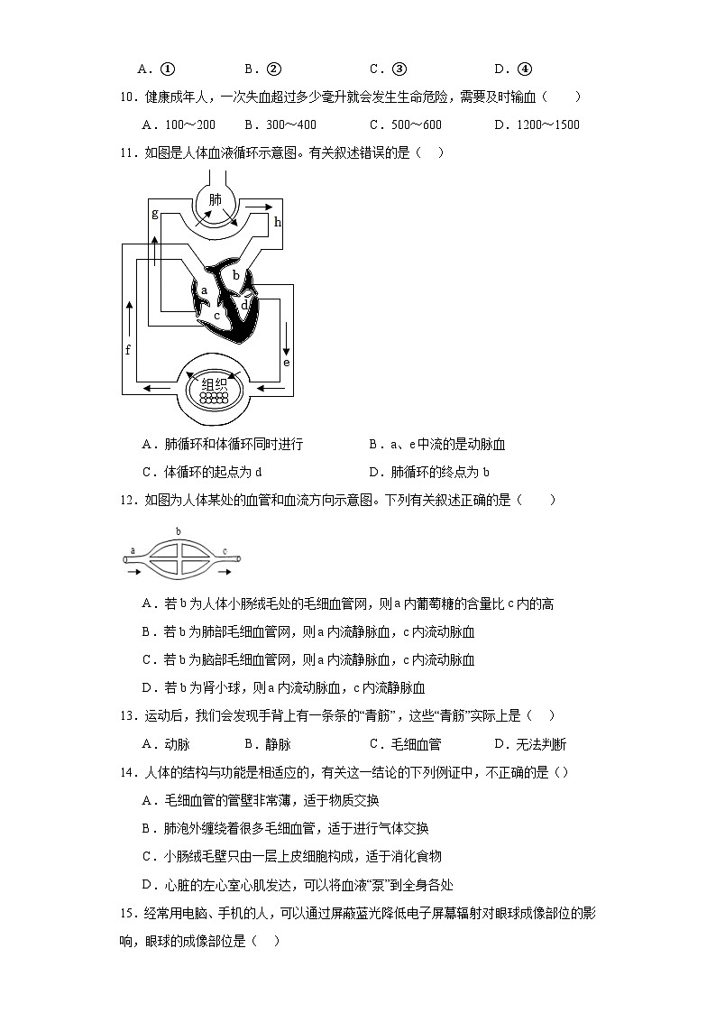 湖南省株洲市茶陵县2022-2023学年七年级下学期期末生物试题（含答案）03