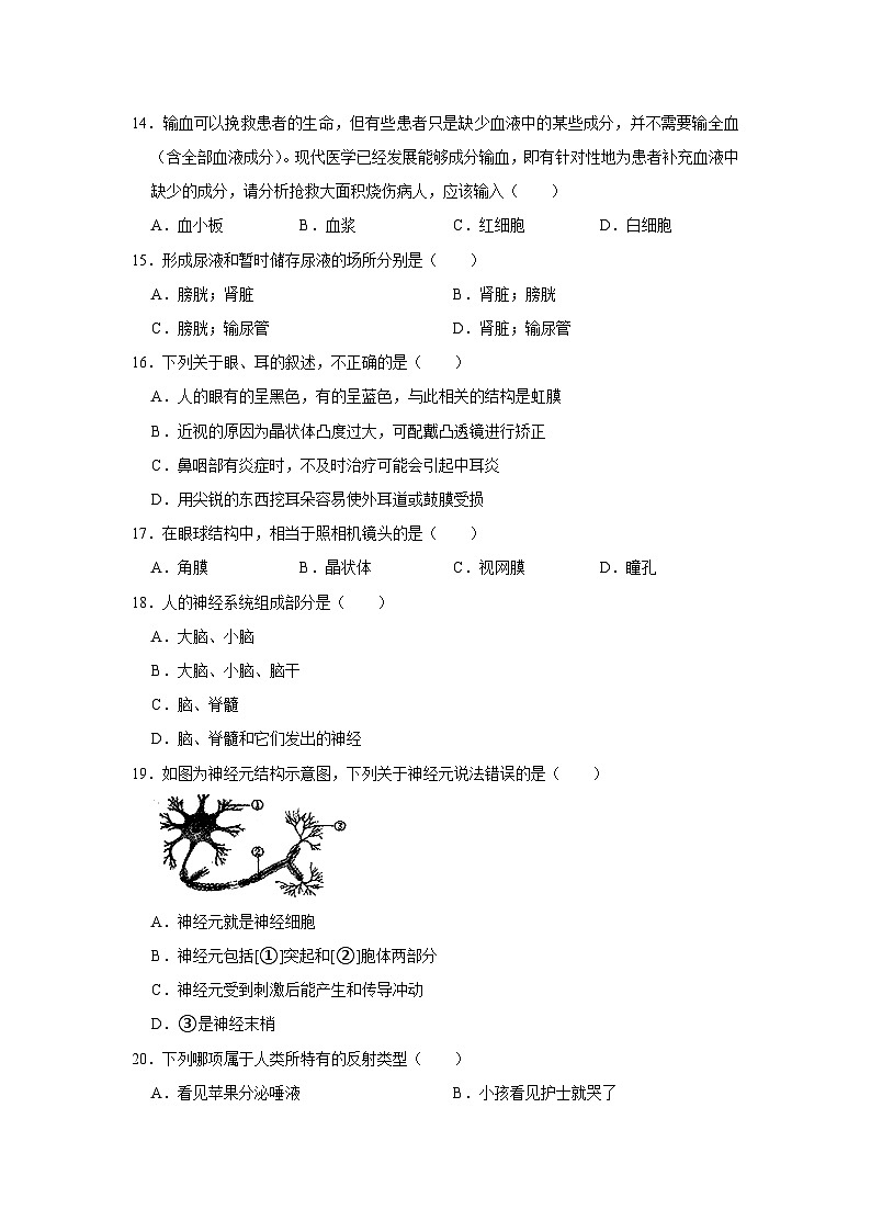 河北省石家庄市平山县古月中学2022-2023学年七年级下学期期末生物试卷第3页