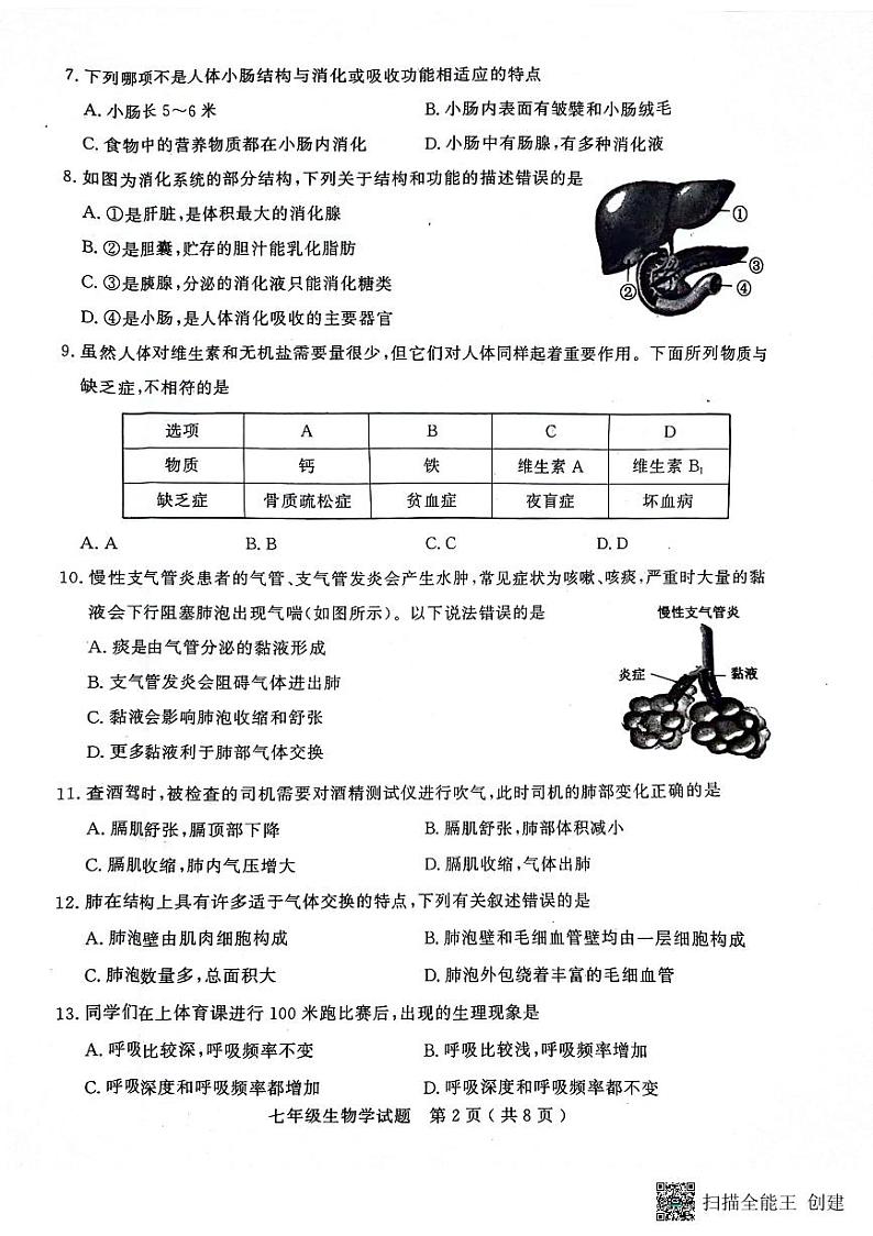 山东省聊城市冠县2022-2023学年七年级下学期期末考试生物试题02
