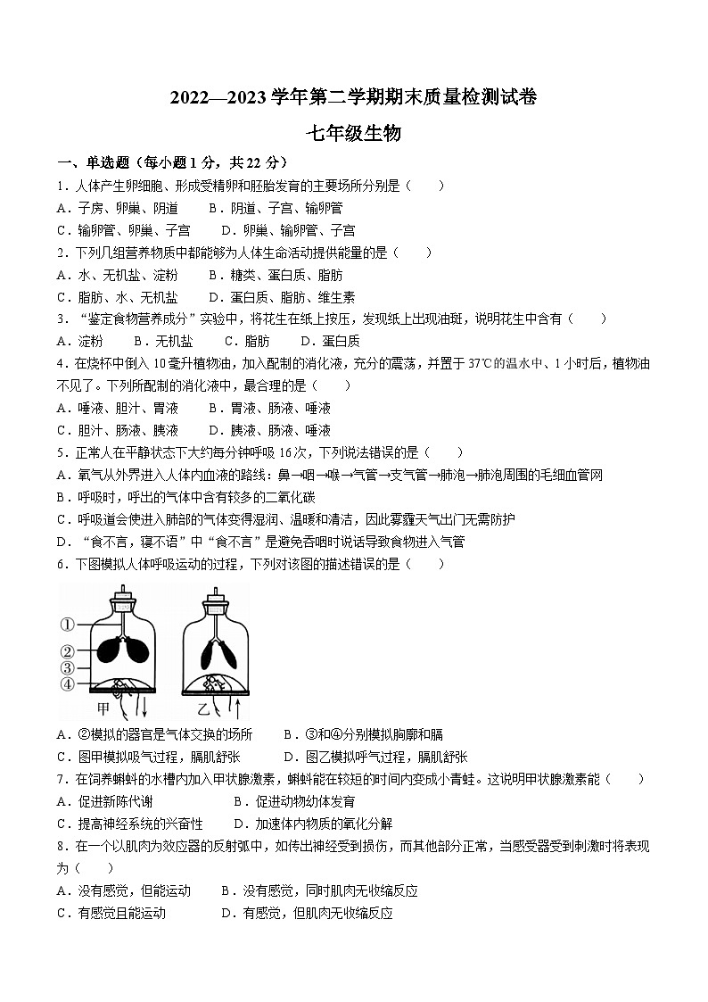 河南省洛阳市偃师区2022-2023学年七年级下学期期末生物试题（含答案）01