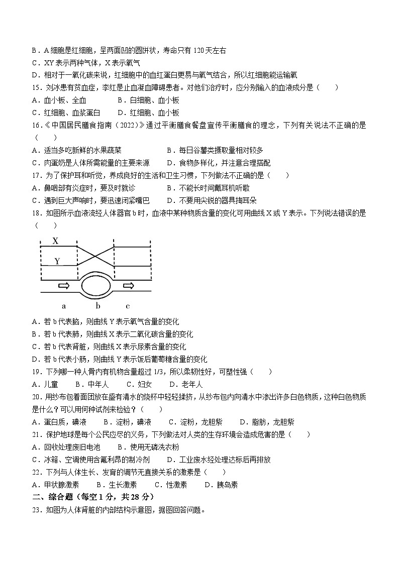 河南省洛阳市偃师区2022-2023学年七年级下学期期末生物试题（含答案）03