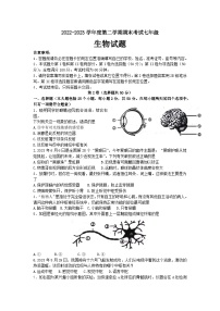 山东省济南市莱芜区（五四制）2022-2023学年七年级下学期期末考试生物试题（含答案）